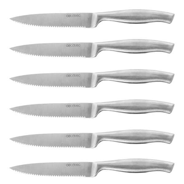 01025 set de cuchillos cecotec carne profesionales