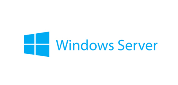 7S050025WW microsoft windows server 2019 client access license 1 user