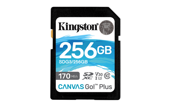 SDG3/256GB 256gb sdxc canvas go plus 170r c10 uhs-i u3 v 30