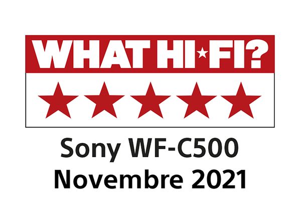 WFC500W.CE7 cascos